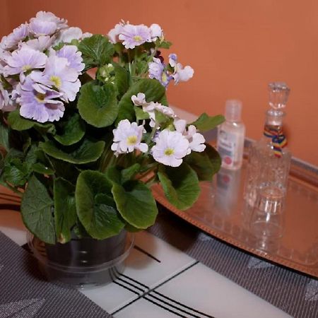 Central Apartment Maria Nagyszeben Kültér fotó